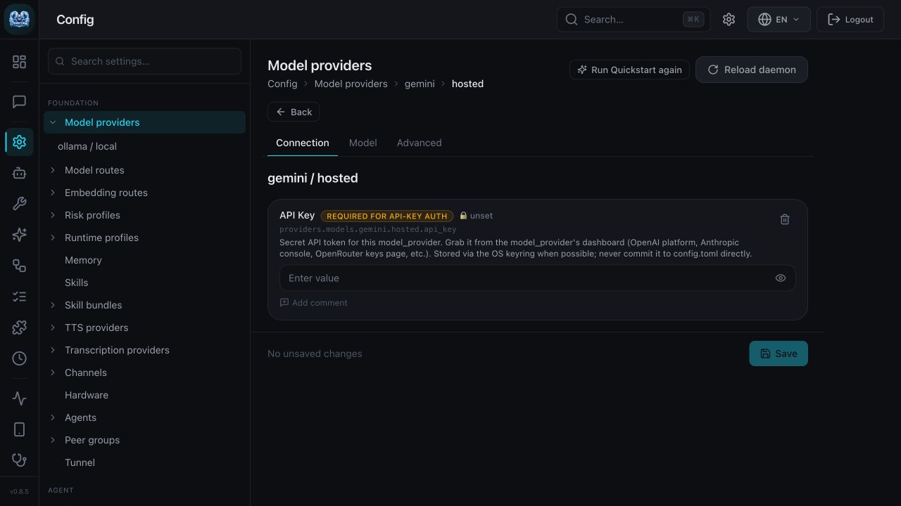 Gemini provider connection form before entering an API key